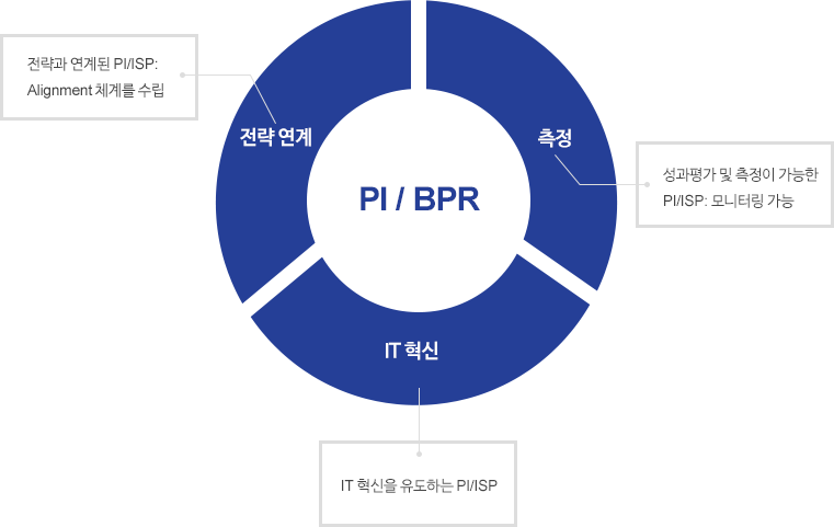 PI / BPR 컨설팅